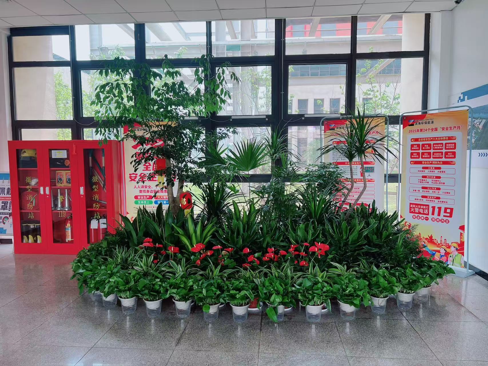 宁波余姚植物租摆方案